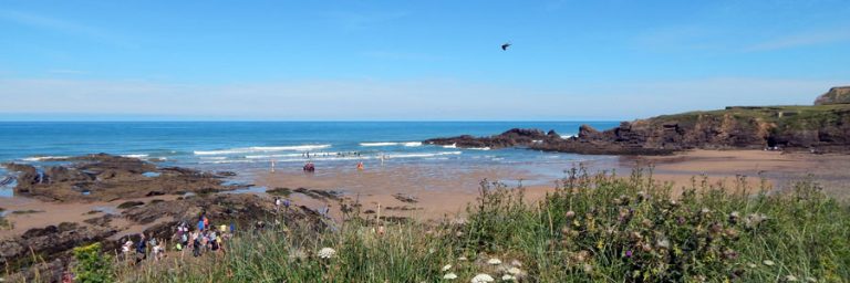 A guide to surfing in Bude and the surrounding area for those seeking a ...